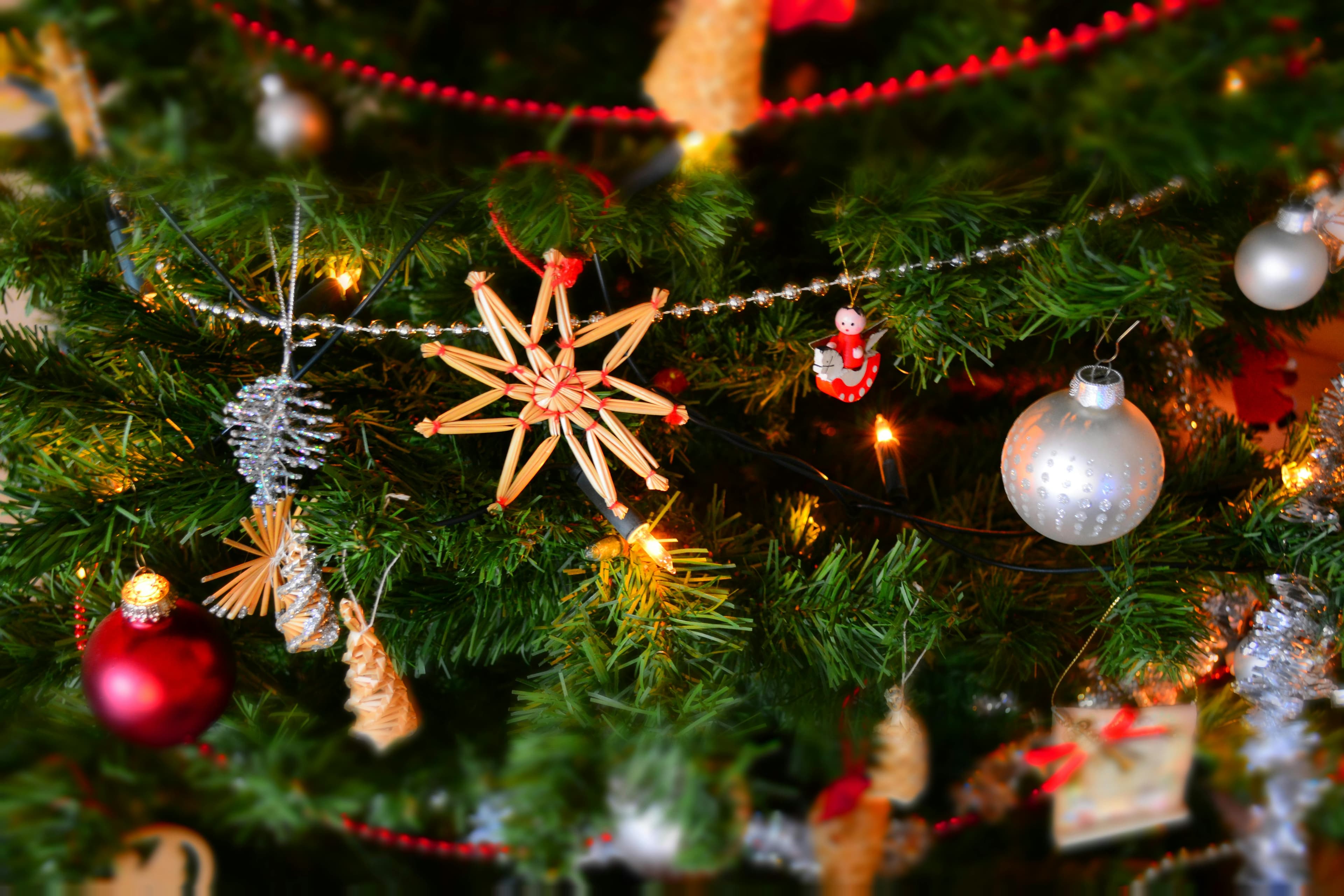 San Diego Christmas Transportation Planning