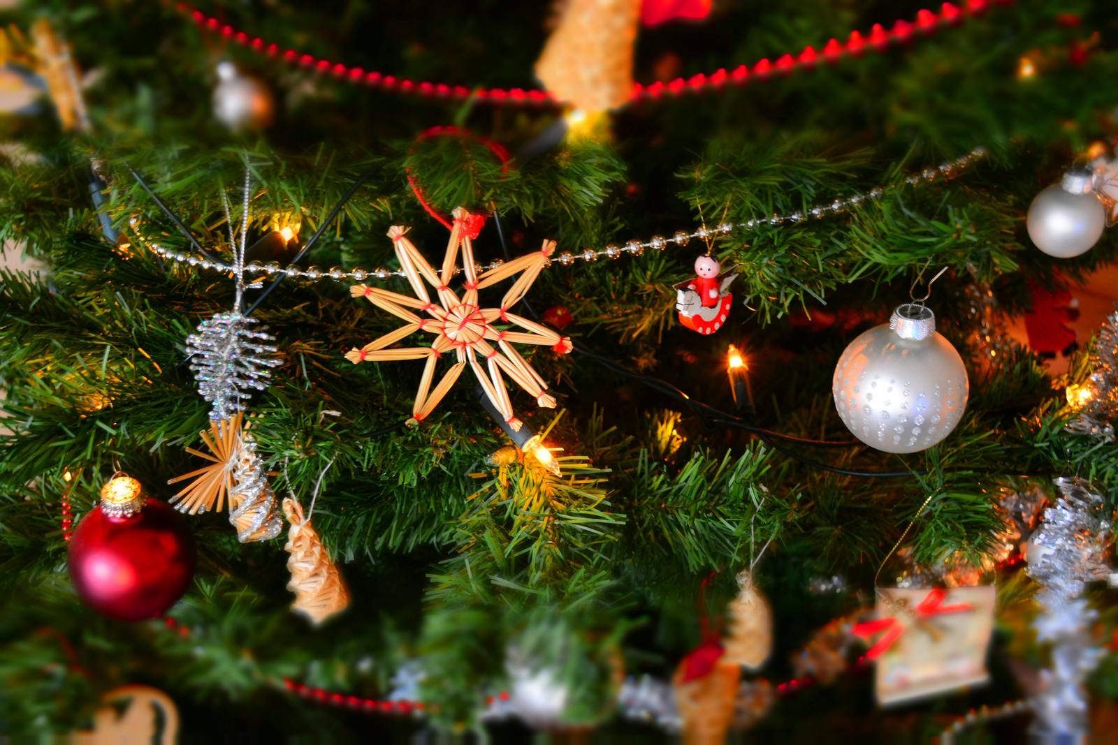 Holiday Lights group transportation planning