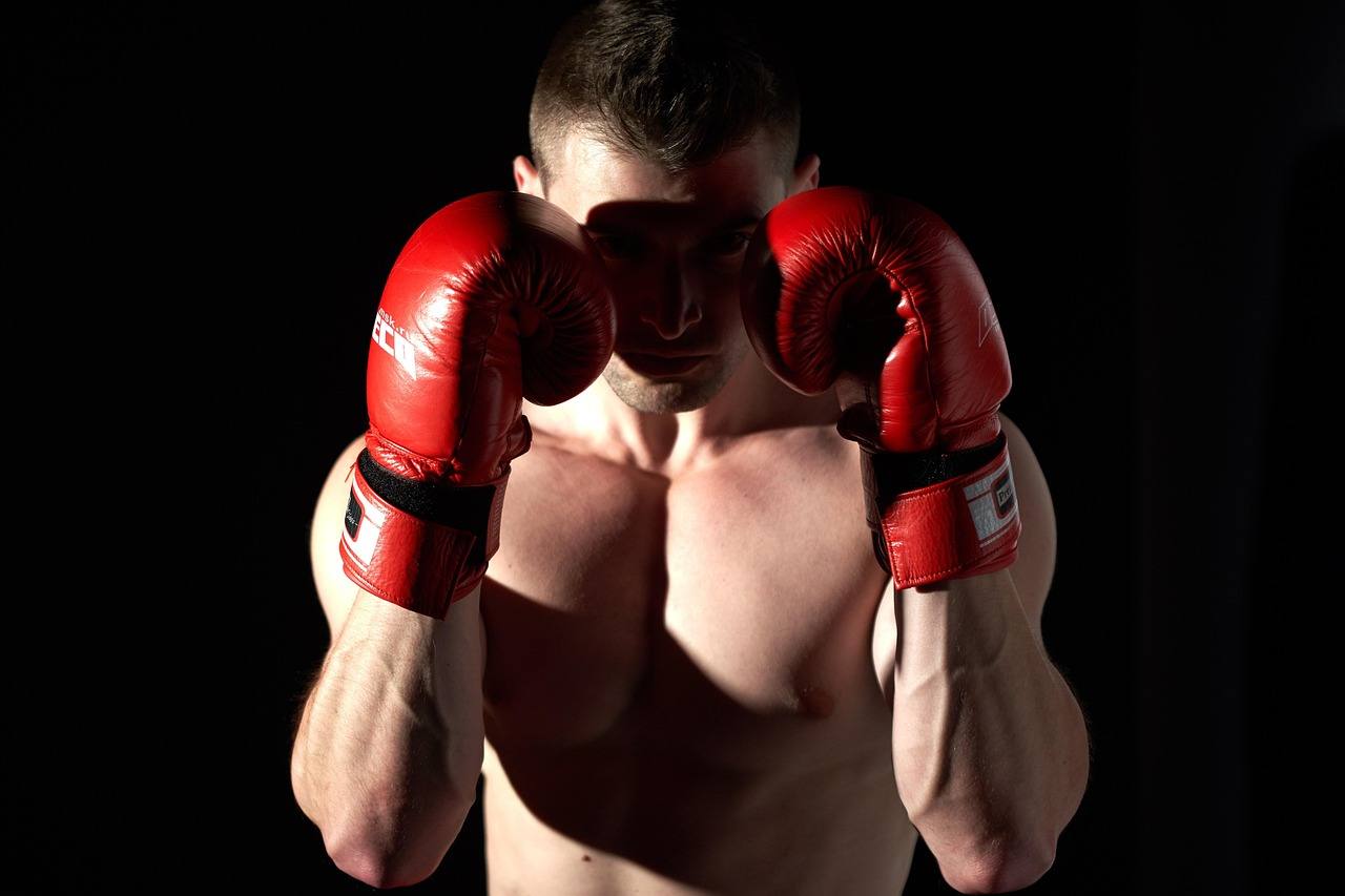 UFC Events transportation in San Diego